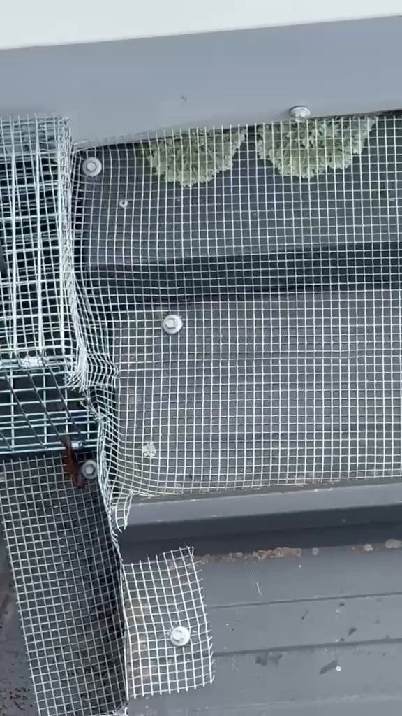 Commercial and residential pest control programs in Melbourne